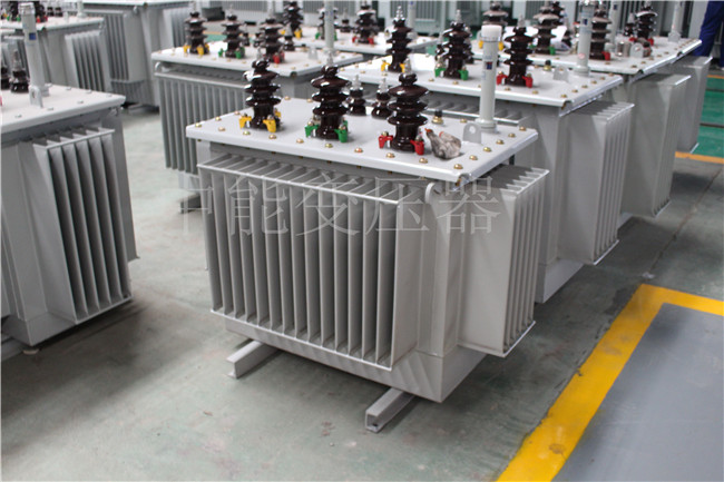 运城S22-250KVA/10KV变压器